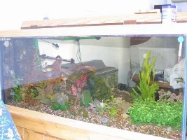 Adrinal's FW Tanks