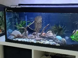 Restoration Tank