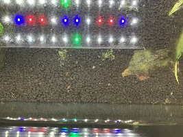 Help: Monte Carlo doing awful