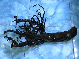 Driftwood Identification