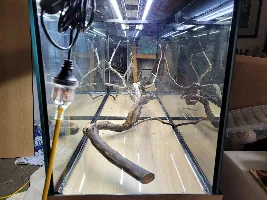 Scaping wood feedback