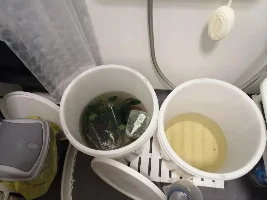 Bitten the Bullet on Plants
