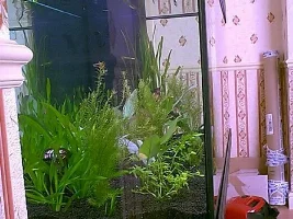 My New Rio 300