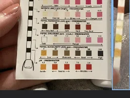 Advice on eye!