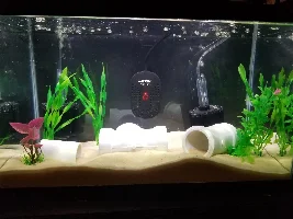 New shrimp and crab tank.