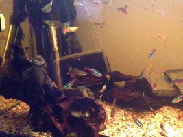Selling Up, Rio 240 Complete Setup