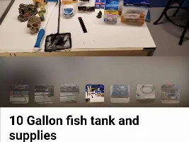 Possible brand new tank