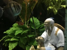 My Asian Fisherman has a new fishing   pole