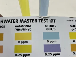 *URGENT* PLEASE HELP NITRITE/AMMONIA SKPIKE