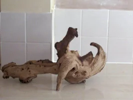 bargin bogwood