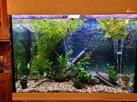 240ltr and 150ltr builds