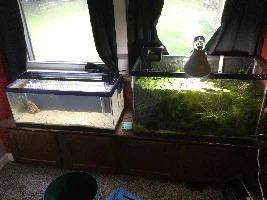 Aquascaper 20g