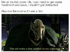 Daily Memes [Aquatic and non-Aquatic Memes]