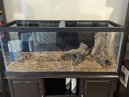 My Dream Aquarium- 55 Gallon - Plans