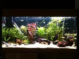 Couple Of Pics Of My Aquaone Evo