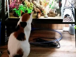 I got new fish! Questions