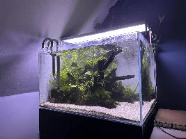 Aquascaper 600