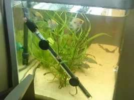3ft Fish Tank