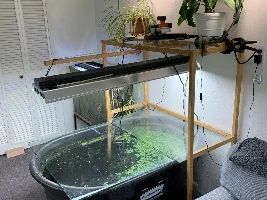 Got to Have a Fishtank Room