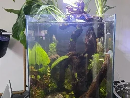 30l tank from marketplace, thoughts?