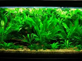 How Important is Accurately Recreating Environmental Lighting