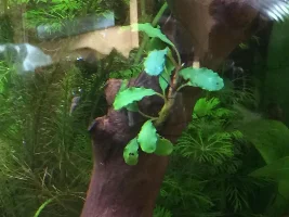 Leaking Tank Leads To New Beginnings