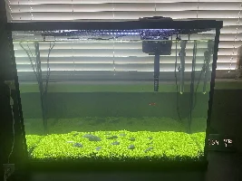 What other plants should I add??
