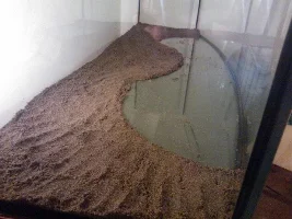420L Planted Co2 Injected Custom Tank!