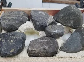 Paludarium | Aquaterrarium question(s)