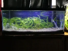 HUGE tank look change.