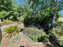 Potential pond?