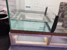 180 gallon Box Turtle Enclosure