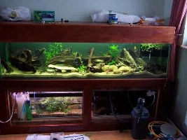 100 gal community
