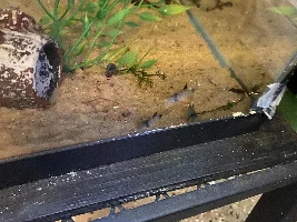 Alive and Well!