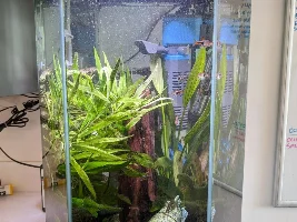 Need suggestions for replacement filter