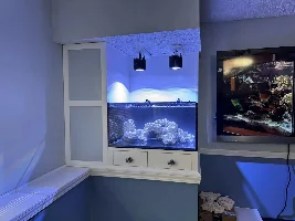 Hello, Fish Friends!