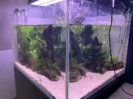 Aquascaper 600