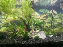**Question of the week** | When’s the last time you did a water change?