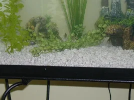 Gravel To Large For Live Plants?
