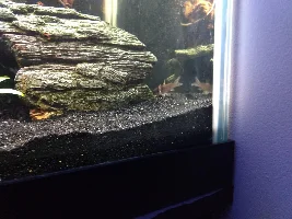 125 gallon South American community progress