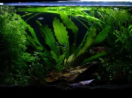 New to this