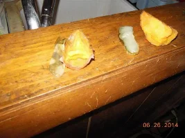 I Want To Vary The Food I Feed My Fish, Help?