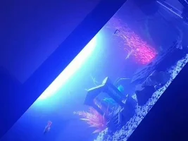 New member ?