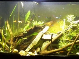 Any Ideas?