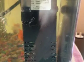 Black Goldfish Having White Spots