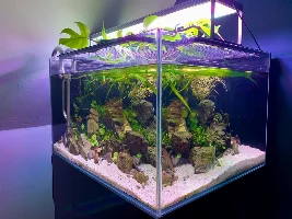 Rescaped my Aquascaper 600