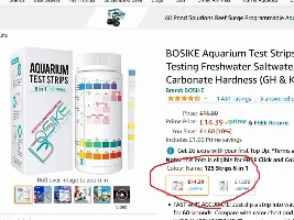 Best place to buy rocks?