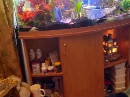 Four months new to this. Had trouble with water but not anymore after getting spoung filters. Thanks for welcoming me