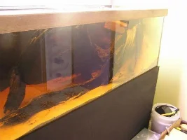 New 6x2x2 australian native tank.