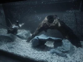 My ~15 gallon fish tank project